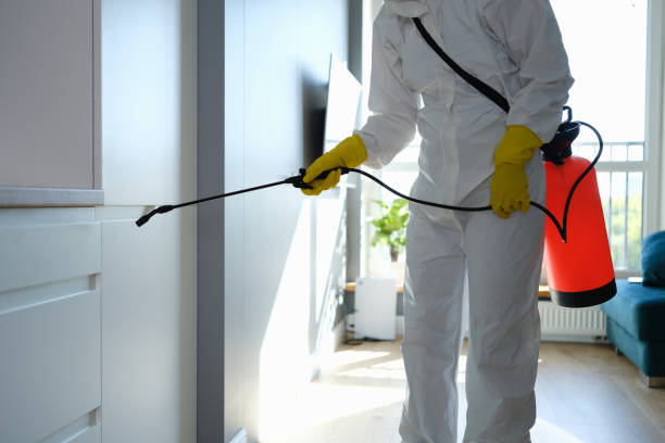 Certified Mold Removal in Holgate, OH
